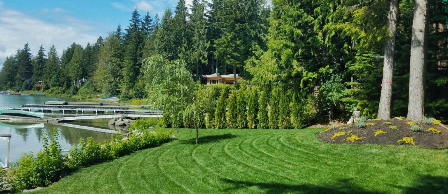 Lawn mowing services